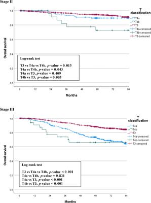 Comparison of Long-Term Survival Outcomes of T4a and T4b Colorectal Cancer